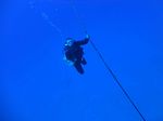 Hawaii Scuba divng 10