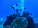 Hawaii Scuba divng 16