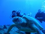 Hawaii Scuba divng 20