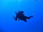 Hawaii Scuba divng 23