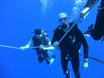 Hawaii Scuba divng 34