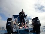 Hawaii Scuba divng 36