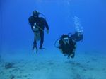 Hawaii Scuba divng 40