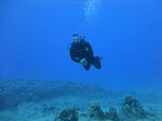 Hawaii Scuba divng 41