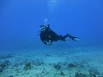 Hawaii Scuba divng 43