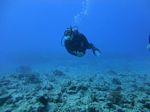 Hawaii Scuba divng 44