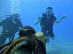 Hawaii Scuba divng 46