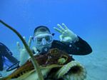 Hawaii Scuba divng 47