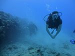 Hawaii Scuba divng 53