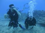 Hawaii Scuba divng 56