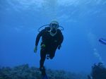 Hawaii Scuba divng 59