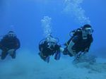 Hawaii Scuba divng 60