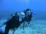 Hawaii Scuba divng 62