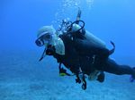 Hawaii Scuba divng 68