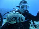 Hawaii Scuba divng 69