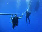 Hawaii Scuba divng 06