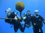 Hawaii Scuba divng 72