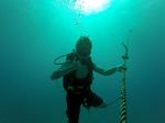 Hawaii Scuba divng 02