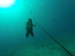 Hawaii Scuba divng 03