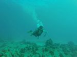 Hawaii Scuba divng 05