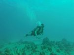 Hawaii Scuba divng 06