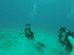 Hawaii Scuba divng 10