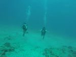 Hawaii Scuba divng 11