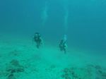 Hawaii Scuba divng 12