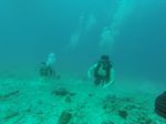 Hawaii Scuba divng 13