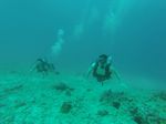 Hawaii Scuba divng 14