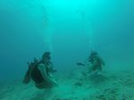 Hawaii Scuba divng 19