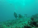 Hawaii Scuba divng 22