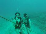 Hawaii Scuba divng 24