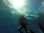 Hawaii Scuba divng 26