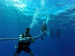 Hawaii Scuba divng 30