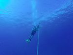 Hawaii Scuba divng 32