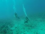 Hawaii Scuba divng 33