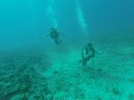 Hawaii Scuba divng 34