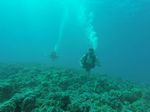 Hawaii Scuba divng 36