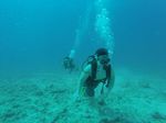 Hawaii Scuba divng 37