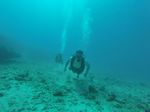 Hawaii Scuba divng 39