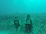 Hawaii Scuba divng 03