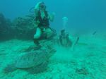 Hawaii Scuba divng 44