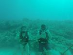 Hawaii Scuba divng 04