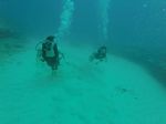 Hawaii Scuba divng 56