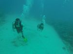 Hawaii Scuba divng 58