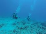 Hawaii Scuba divng 05