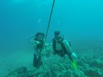 Hawaii Scuba divng 61