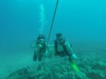 Hawaii Scuba divng 62