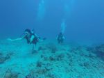 Hawaii Scuba divng 06